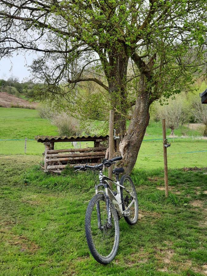 Aux Saveurs D'Enneille Bed & Breakfast Durbuy Bagian luar foto